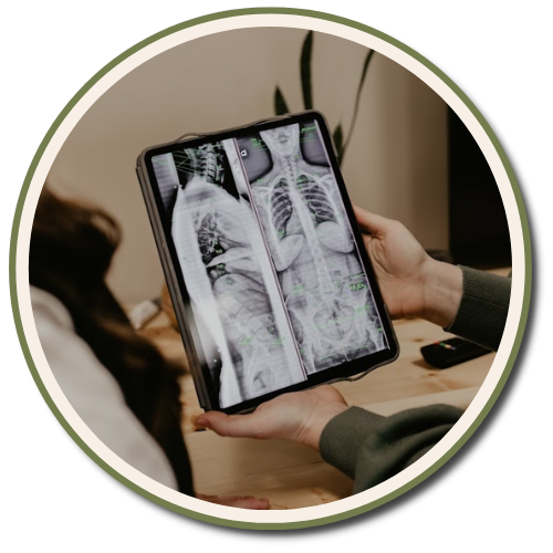 5 Components Of The Gonstead Technique - Chiropractor Waukee